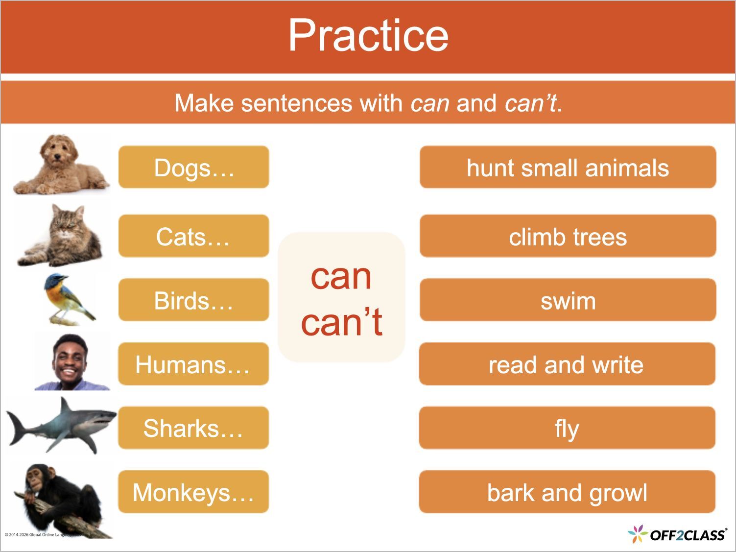 Sentence-building activity uses can and cannot to describe abilities of animals and people.
